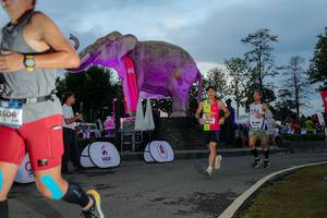 BIB: 
                            <button type="button" onclick="openModal(26529530)" class="btn btn-primary btn-sm float-right btn-popup" data-toggle="modal" data-target=".modal-high-quality">
                        <i class="fas fa-shopping-cart"></i> Add to Cart
                    </button>
                                            <button type="button" onclick="isThisMe(26529530, true)" class="btn btn-success btn-sm float-right btn-popup btn-isme hidden" data-toggle="tooltip" data-placement="bottom" title="นี่คือรูปของคุณใช่ไหม คลิกที่นี่เพื่อเอาเข้าอัลบั้ม">
                        <i class="fas fa-plus"></i> Add to album
                    </button>
                    <button type="button" onclick="isThisMe(26529530, false)" class="btn btn-warning btn-sm float-right btn-popup btn-isnotme hidden">
                        <i class="fas fa-ban"></i> Remove from album
                    </button>